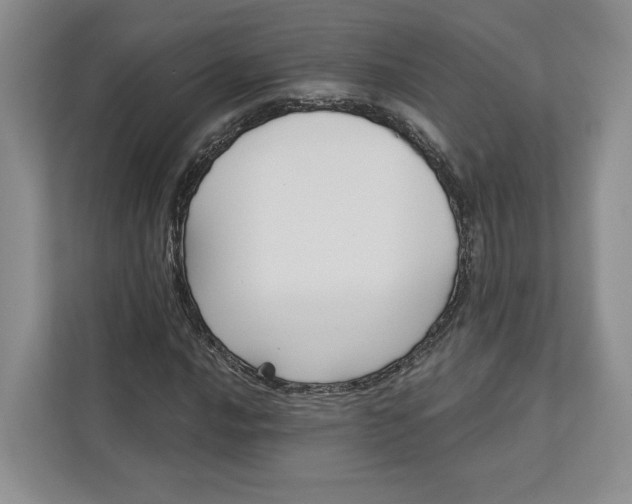 X0000112941016200909141343