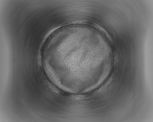 X0000112941019200909141343