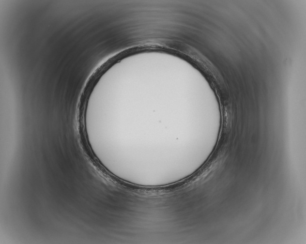 X0000112941020200909141343