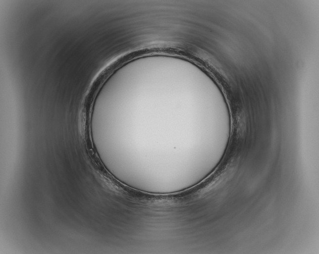 X0000112941021200909141343