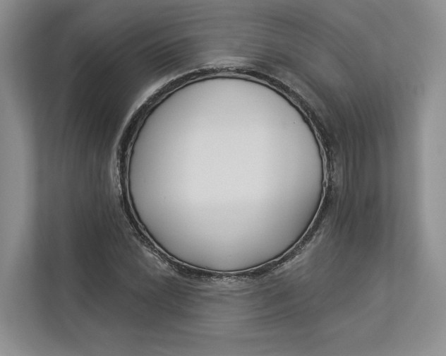 X0000112941022200909141343