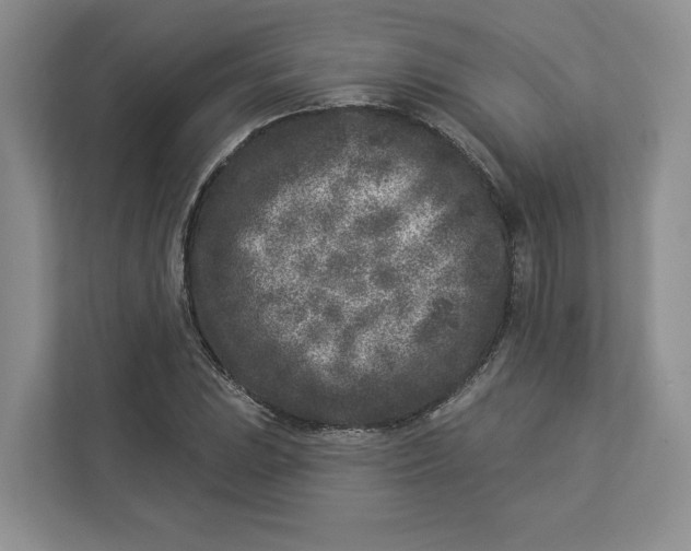 X0000112941023200909141343