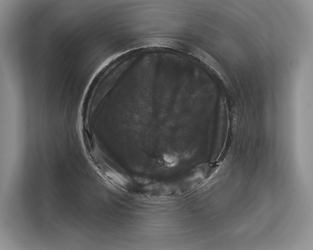 X0000112941024200909141343