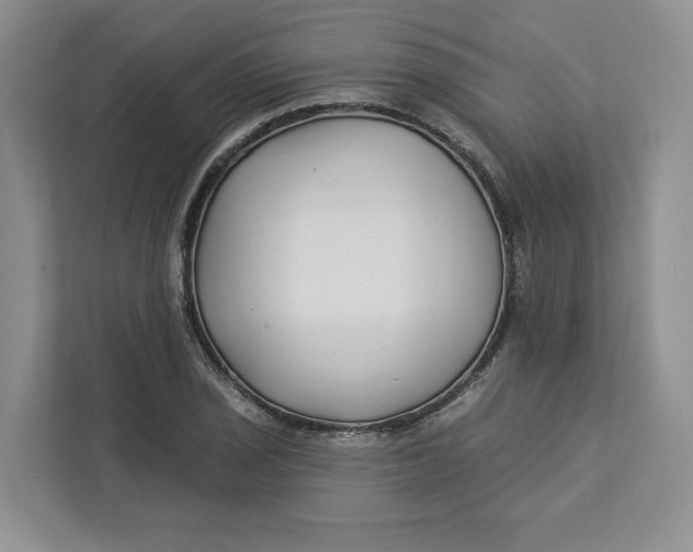 X0000112941029200909141343