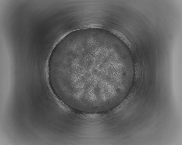 X0000112941031200909141343