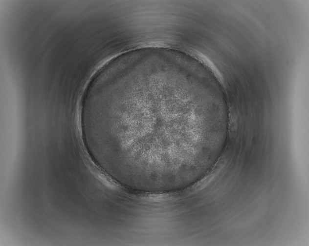 X0000112941035200909141343