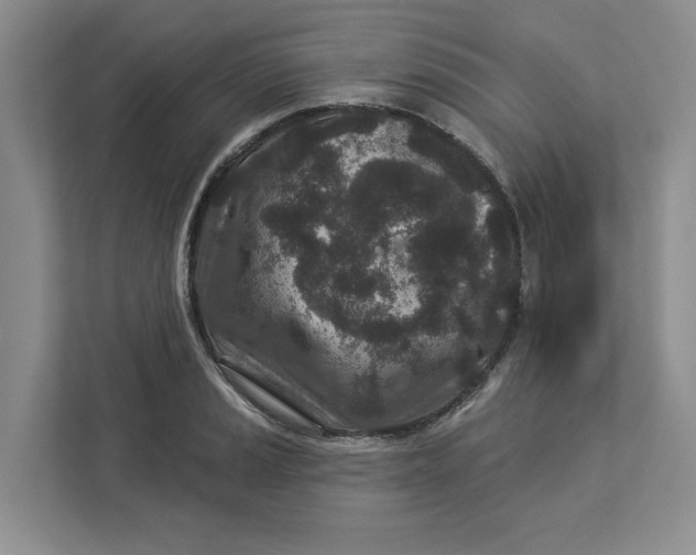 X0000112941037200909141343