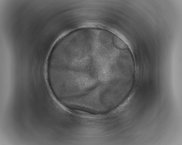 X0000112941045200909141343