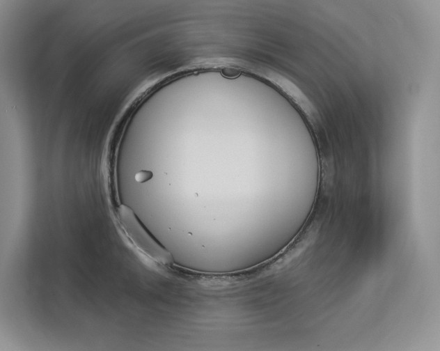 X0000112941046200909141343