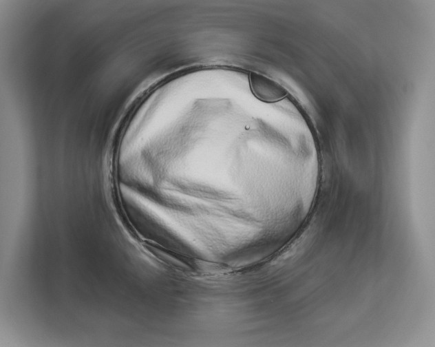 X0000112941048200909141343