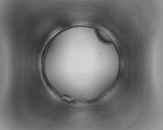 X0000112941050200909141343