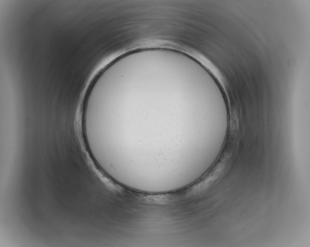 X0000112941053200909141343