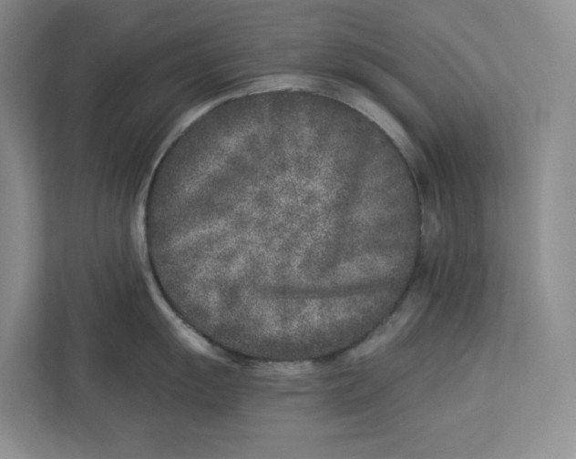 X0000112941055200909141343