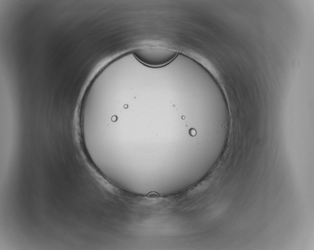 X0000112941056200909141343