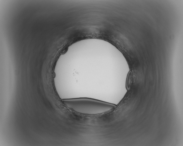 X0000112941057200909141342