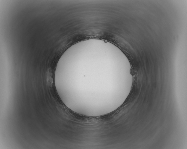 X0000112941058200909141342