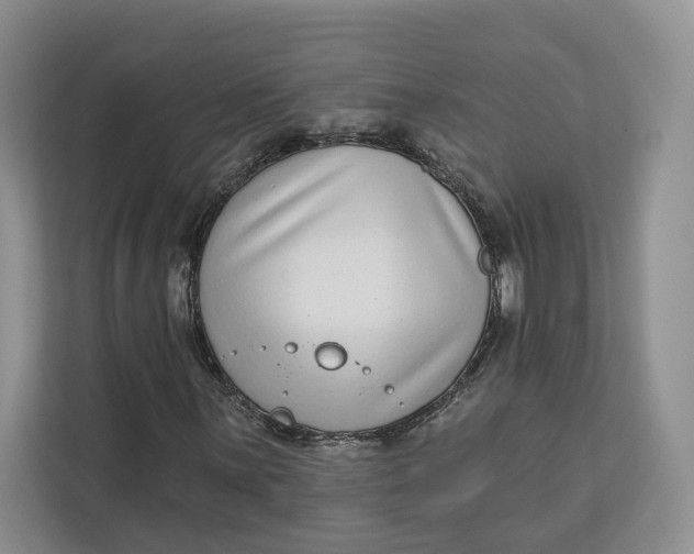 X0000112941059200909141342