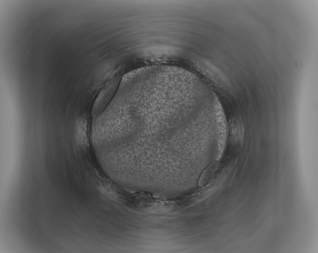 X0000112941060200909141342