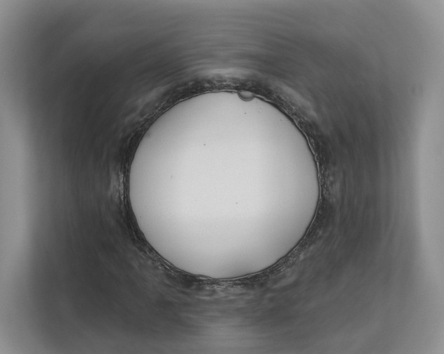 X0000112941061200909141342