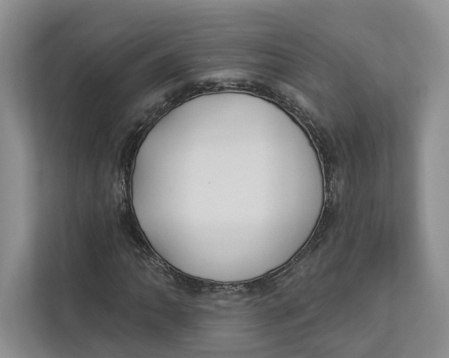 X0000112941062200909141342