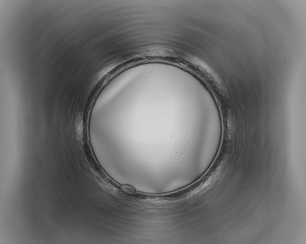 X0000112941065200909141342