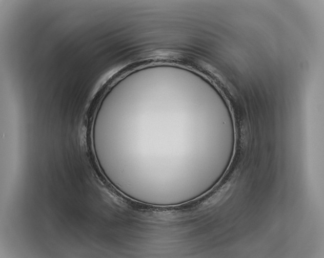 X0000112941066200909141342