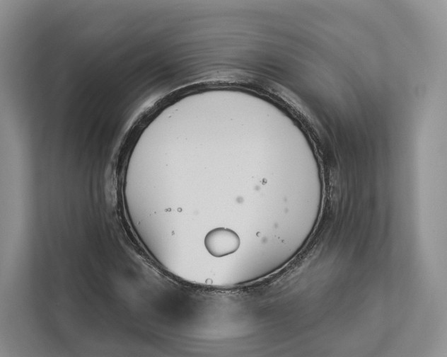 X0000112941067200909141342