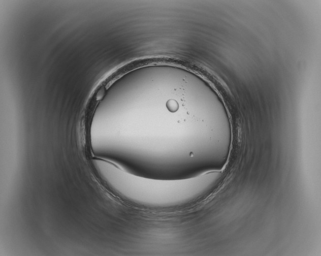 X0000112941069200909141342