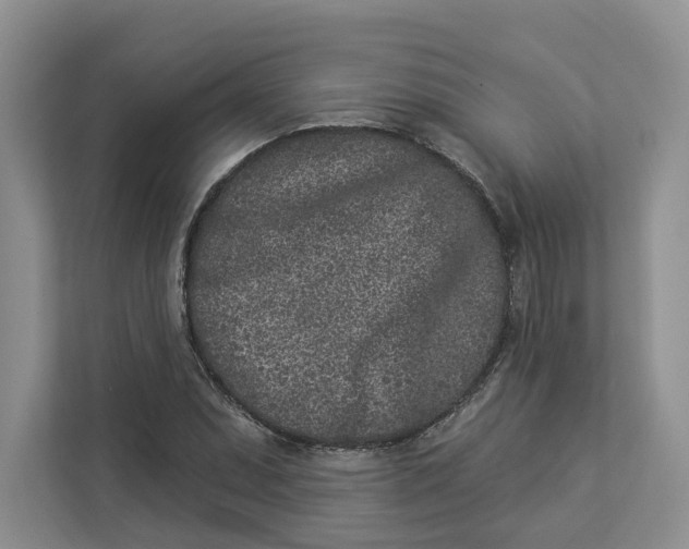 X0000112941071200909141342