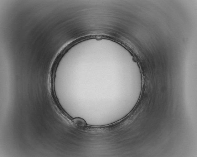 X0000112941076200909141342