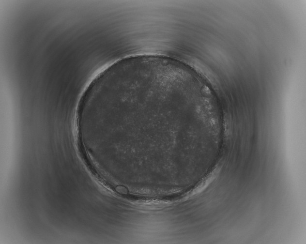 X0000112941077200909141342