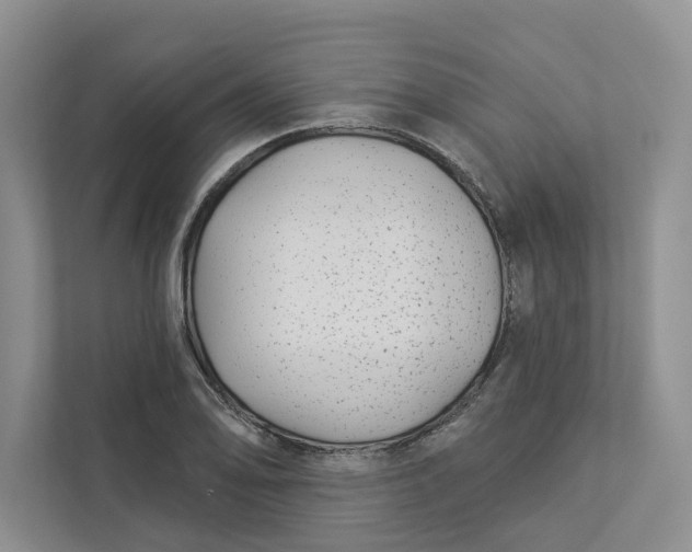 X0000112941078200909141342