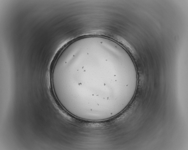 X0000112941079200909141342