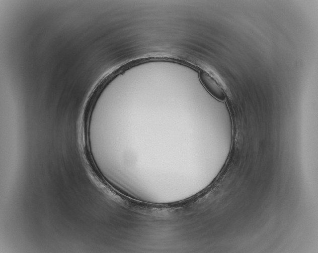 X0000112941080200909141342