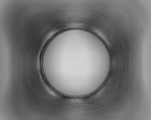 X0000112941082200909141342