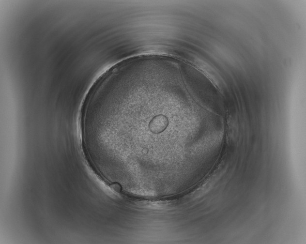 X0000112941084200909141342