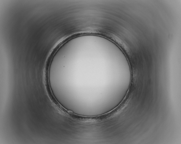 X0000112941085200909141342