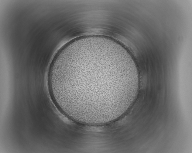 X0000112941086200909141342