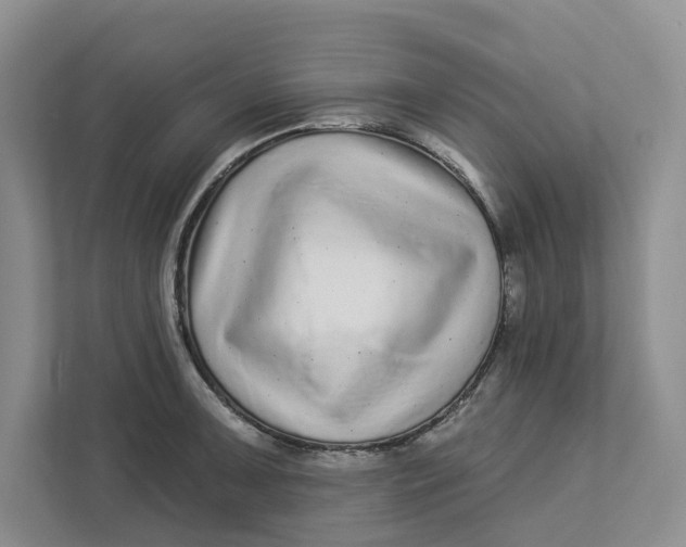 X0000112941091200909141342