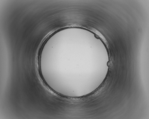 X0000112941096200909141342