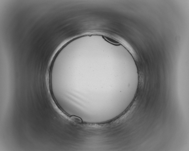 X0000112941100200909141342