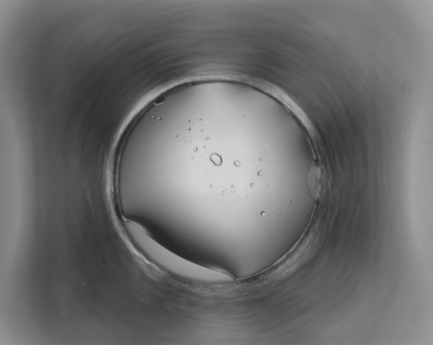 X0000112941101200909141342