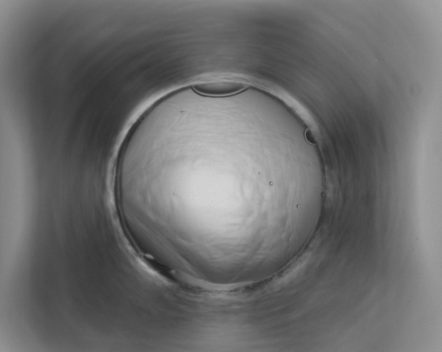 X0000112941102200909141342