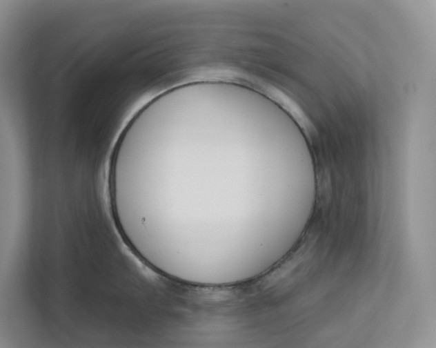 X0000112941103200909141342