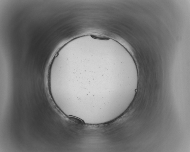 X0000112941104200909141342