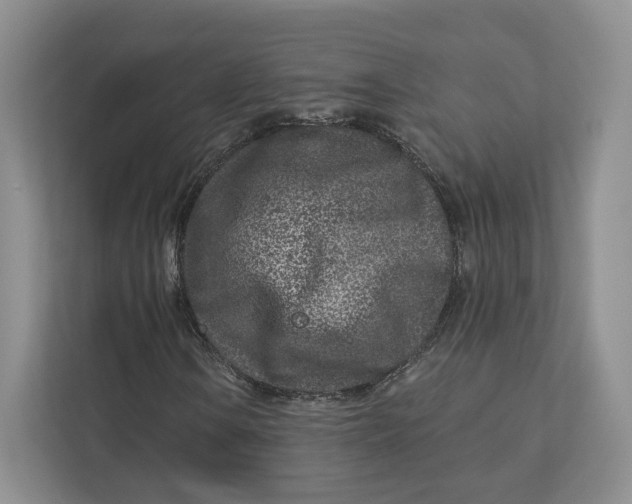 X0000112941106200909141341