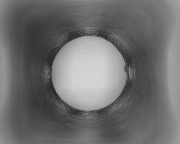 X0000112941107200909141341