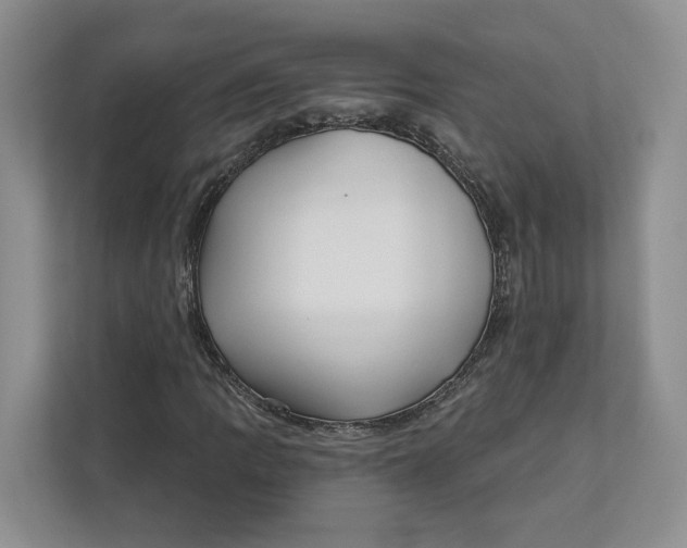 X0000112941109200909141341