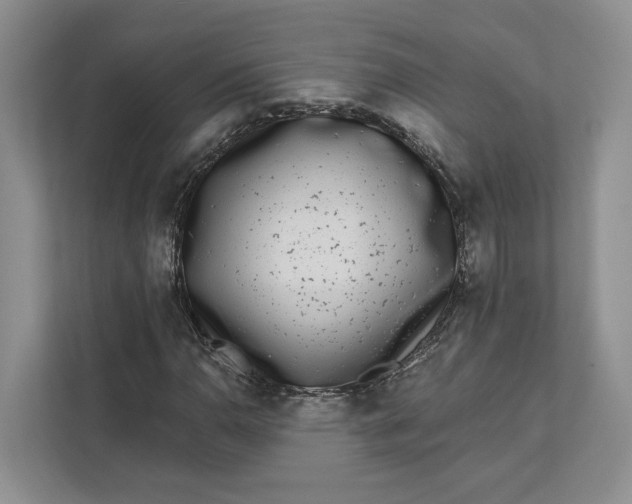 X0000112941110200909141341