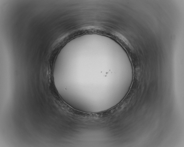 X0000112941111200909141341